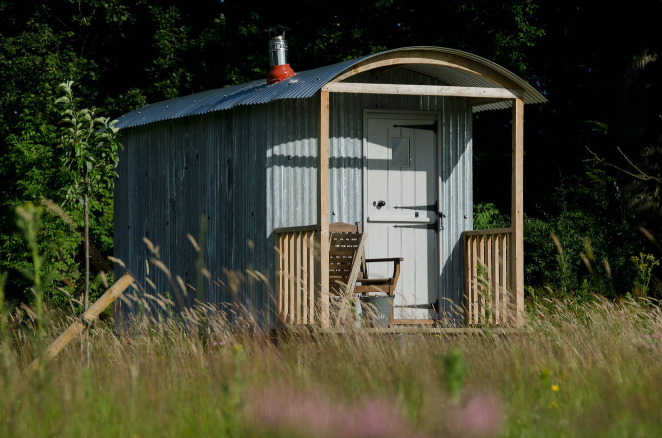 Camping at the Knepp Estate