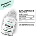 Organics Ocean One-Per-Day Shilajit