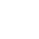 Electric Grill