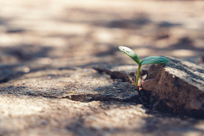 Positive Psychology Tools for Grief Counseling