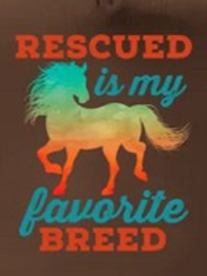 Horse Rescue Comrades cover