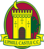 Uphill Castle Cricket Club logo