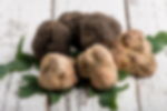  Merana: Sua Maestà il Tartufo