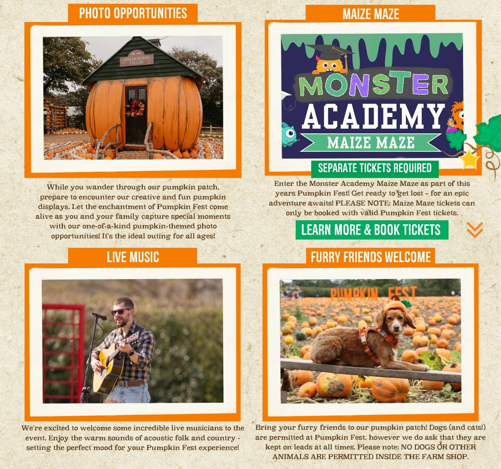Discover the biggest and best pumpkin festival in Devon & Cornwall, and South West! Pumpkin Fest at Strawberry Fields is the ultimate family day out with a huge pumpkin patch, pumpkin picking, maize maze, barrel train rides, photo spots, tasty autumn treats & fun for all ages. Book now!