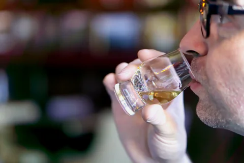 Edinburgh: Holyrood Distillery Whisky and Gin Tour & Tasting