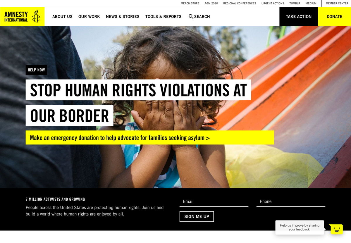 Screenshot of Amnesty International, from the yellow websites collection.