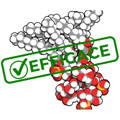 filtration endotoxines