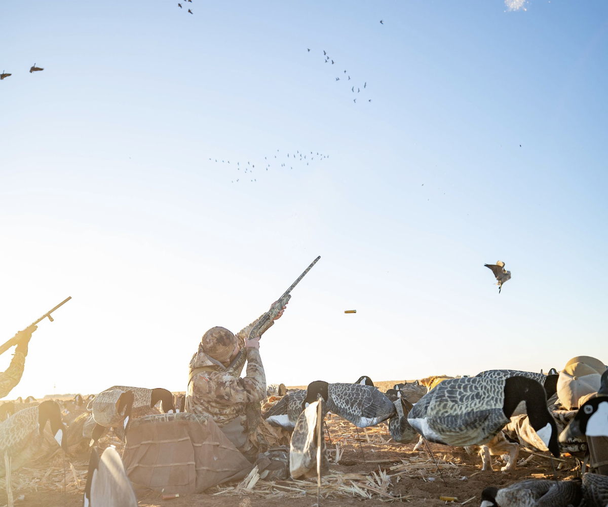 details-image