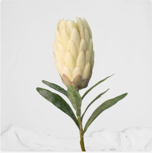 White Protea Stem / Pink Ice - Realistic Artificial Flowers