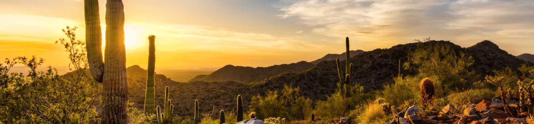 Arizona skyline