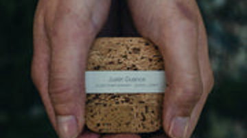 Main Content Image
