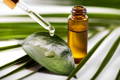 Do Research on Essential Oil Blends that are Safe for Use