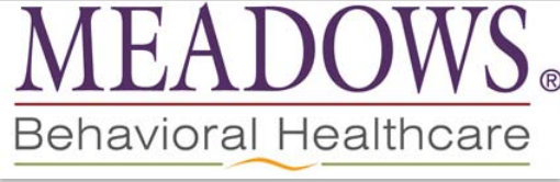 Meadows Behavioral Healthcare