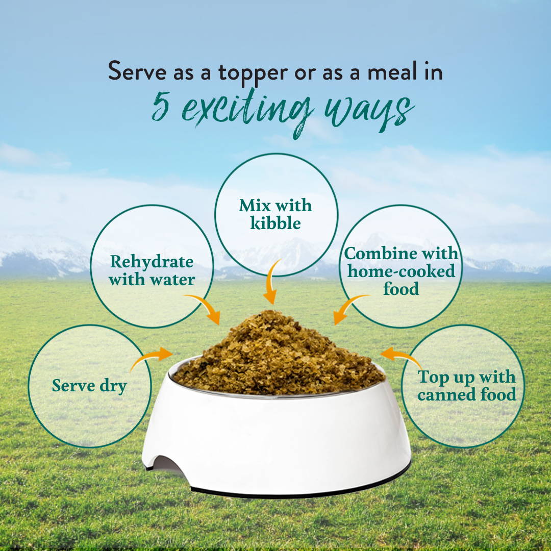 Steakhouse Beef & Zucchini Raw Alternative Dog Food Addiction Singapore