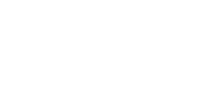 Sofia Lacayo  Logo