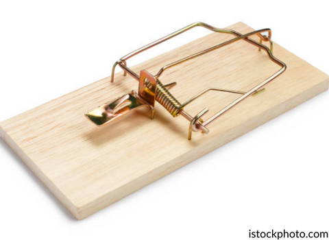 quality wood rat trap