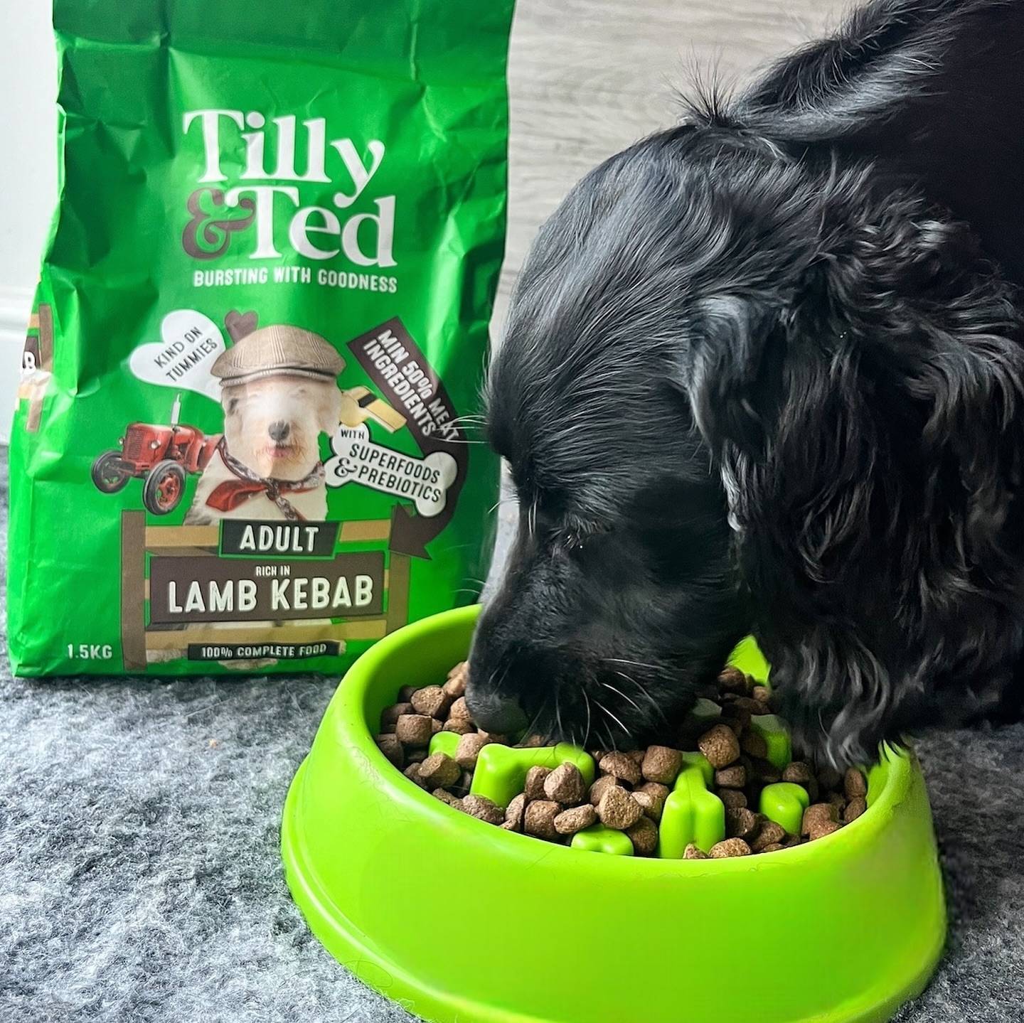 Black dog eating Tilly & Ted lamb kebab from green bowl after watching cartoons