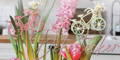 Startseite Country Decoration