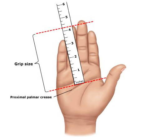 tennis racket grip size chart showing ruler in inches and proximal palmar crease