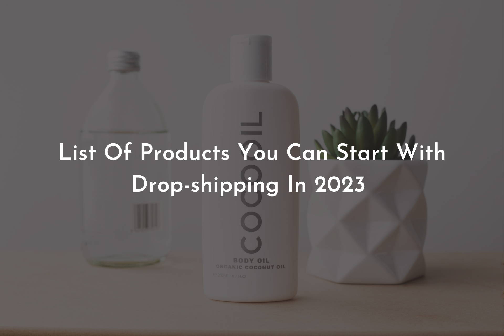 dropshipping products