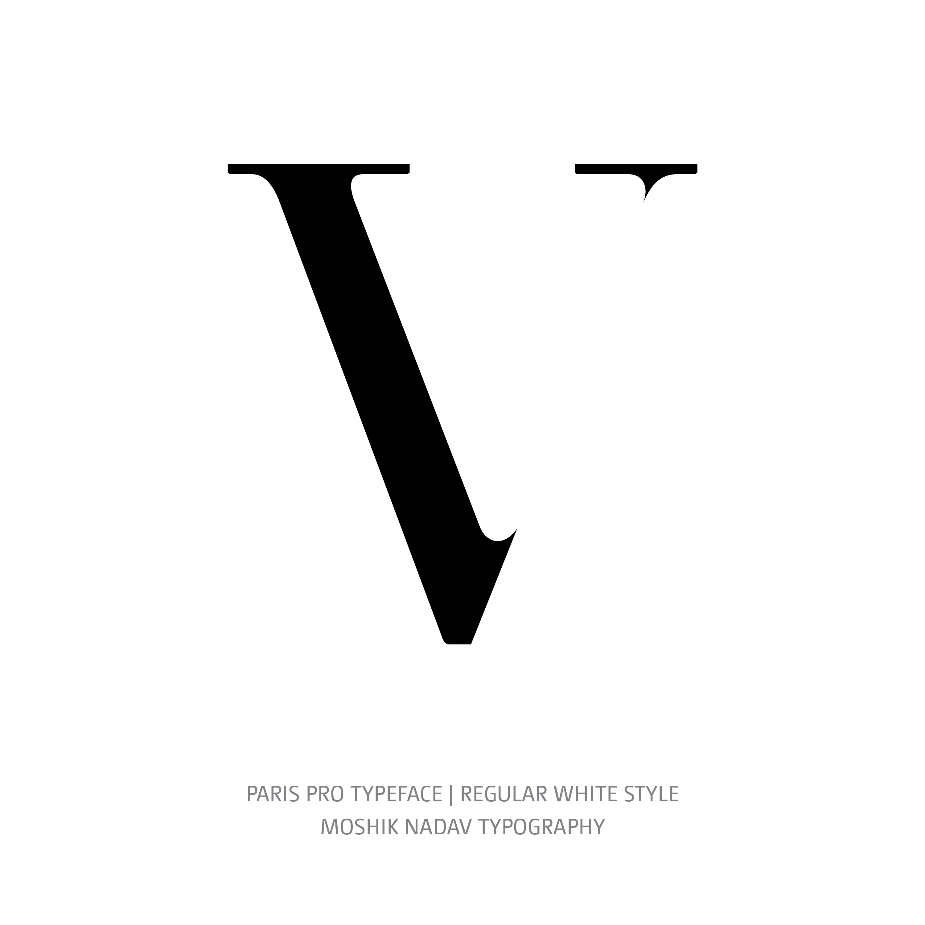 Paris Pro Typeface Regular White V