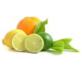 Vitamin C for Dogs
