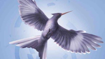 Main Content Image