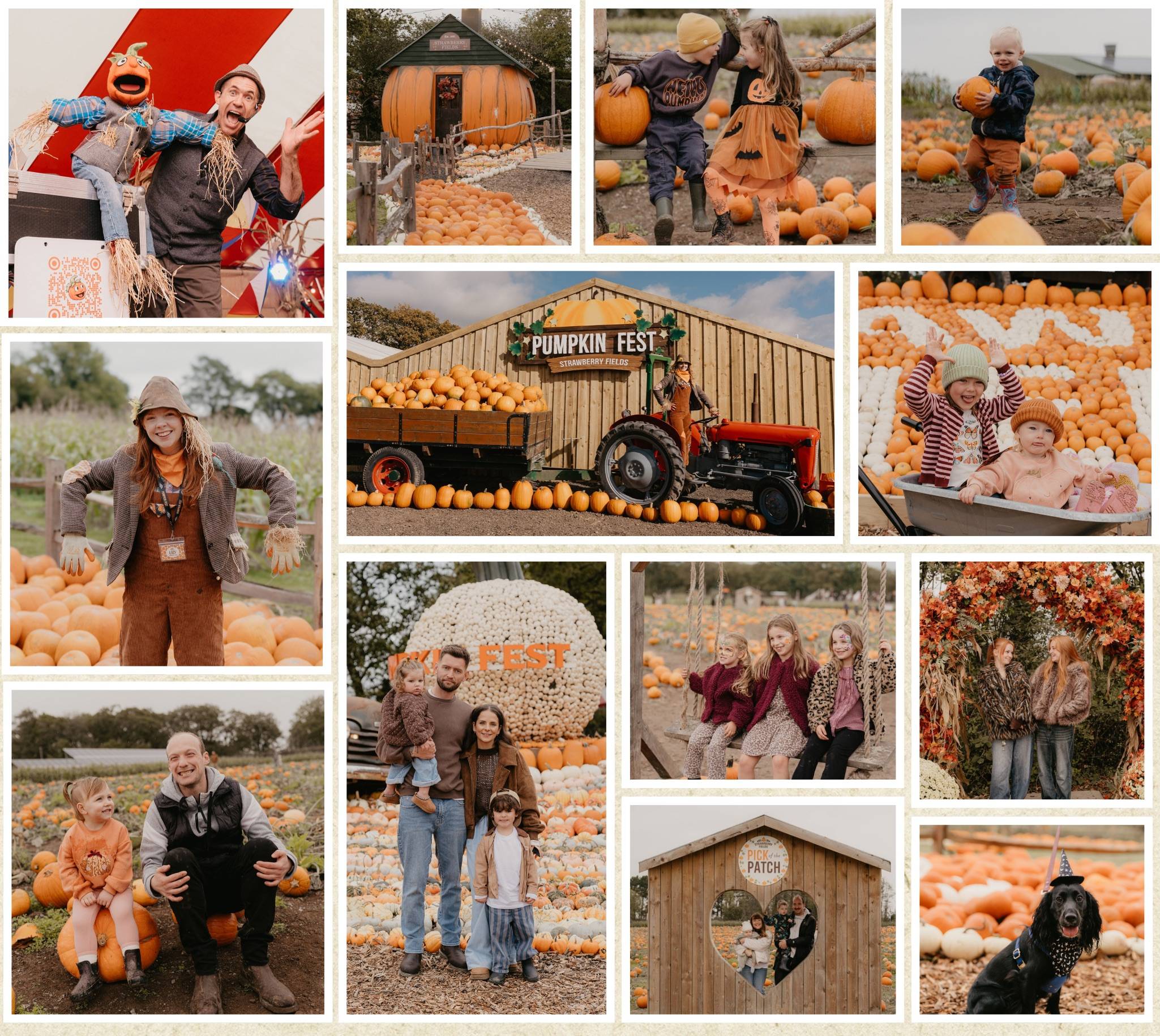 Discover the biggest and best pumpkin festival in Devon & Cornwall, and South West! Pumpkin Fest at Strawberry Fields is the ultimate family day out with a huge pumpkin patch, pumpkin picking, maize maze, barrel train rides, photo spots, tasty autumn treats & fun for all ages. Book now!