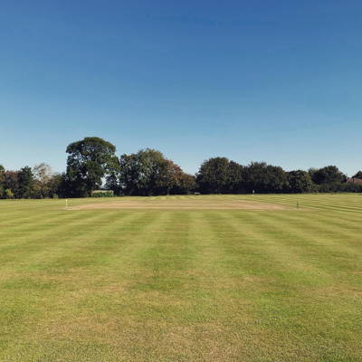 Norton Lindsey and Wolverton Cricket Club Logo