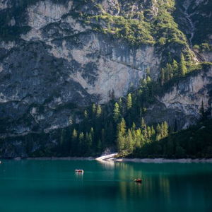 Norway: Fjord Day Trip
