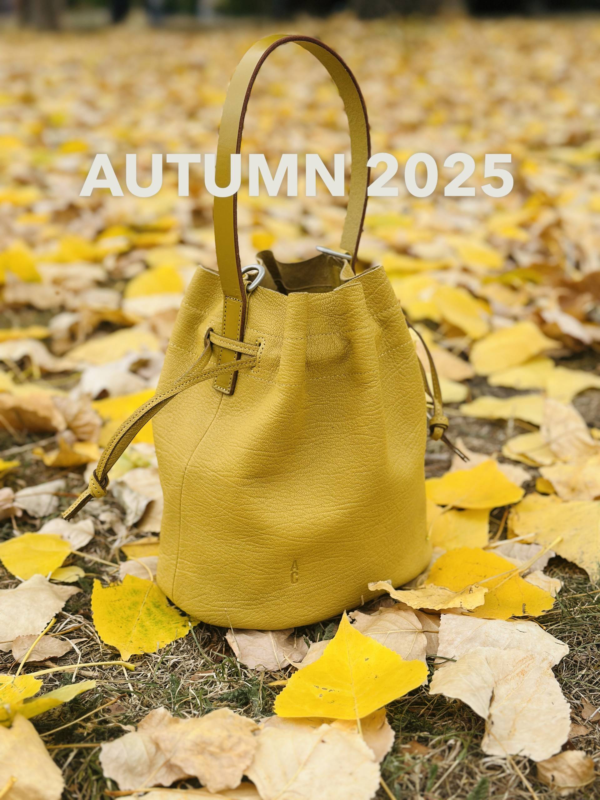 Ally Capellino New In Bags
