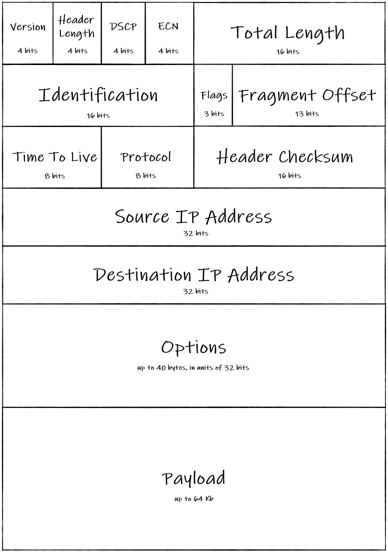 Internet packet header contents A representation of an internet packet header with its length, identification, protocol, checksum, payload, etc.