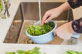 a woman's hands thoroughly washing fresh spinach at her kitchen sink so that it is safe for consumption