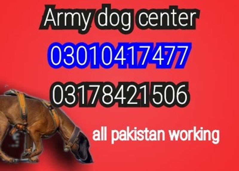 https://ucarecdn.com/d36e18f1-b9e7-4836-8807-95b816f70bfe/ cover