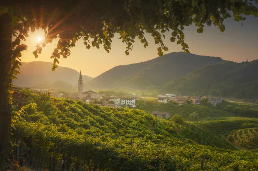A Sparkling Day in the Prosecco Hills Tour - photo 6