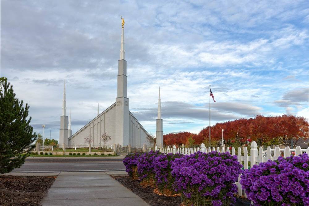 A row of purple flowers leads up to the Boise Idaho Temple.