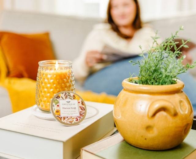 Raz Imports Wooden Sleigh With Winter Natural Arrangement and Pinecone Christmas Home Decor