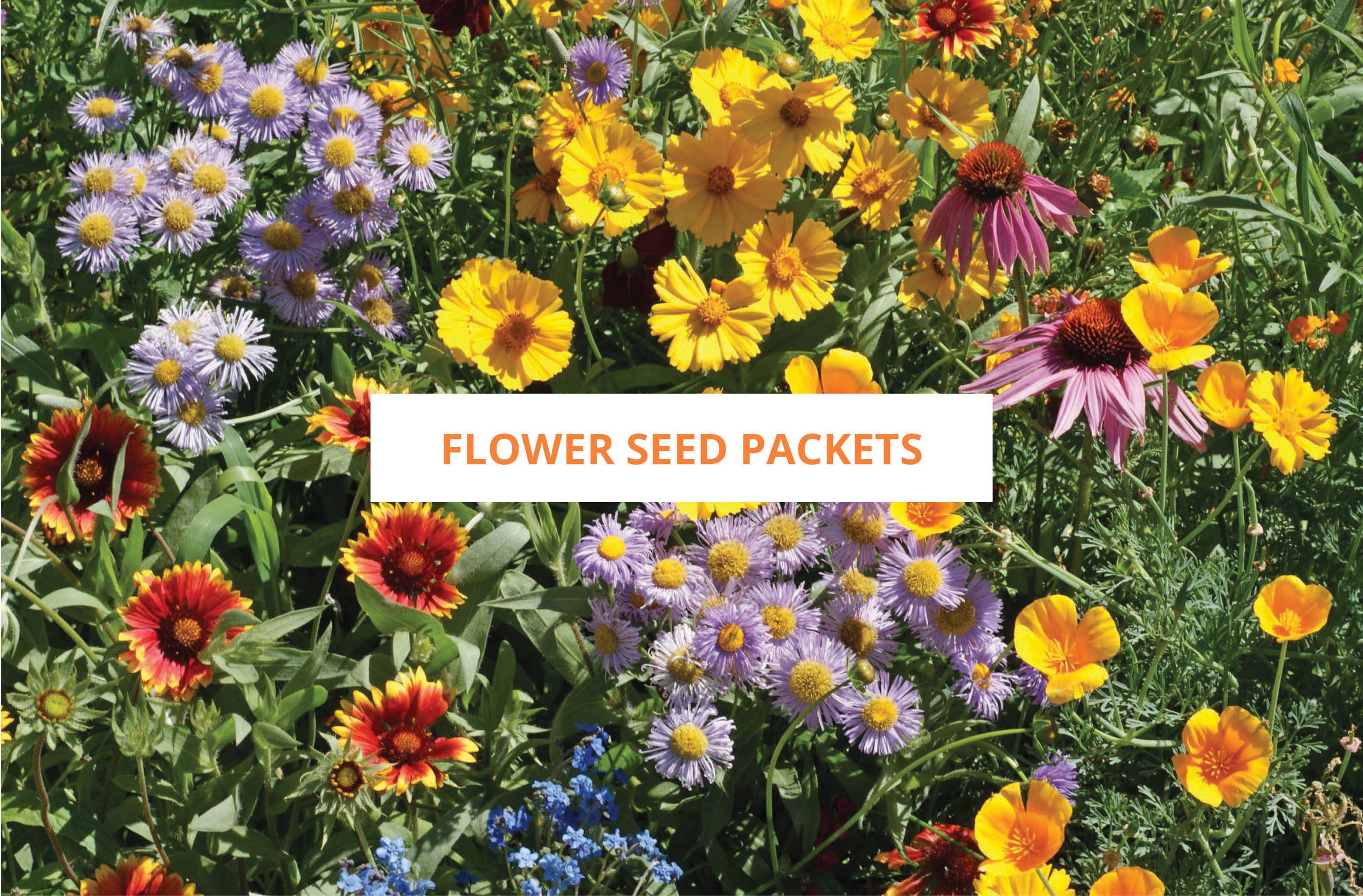 Flower Seed Packets
