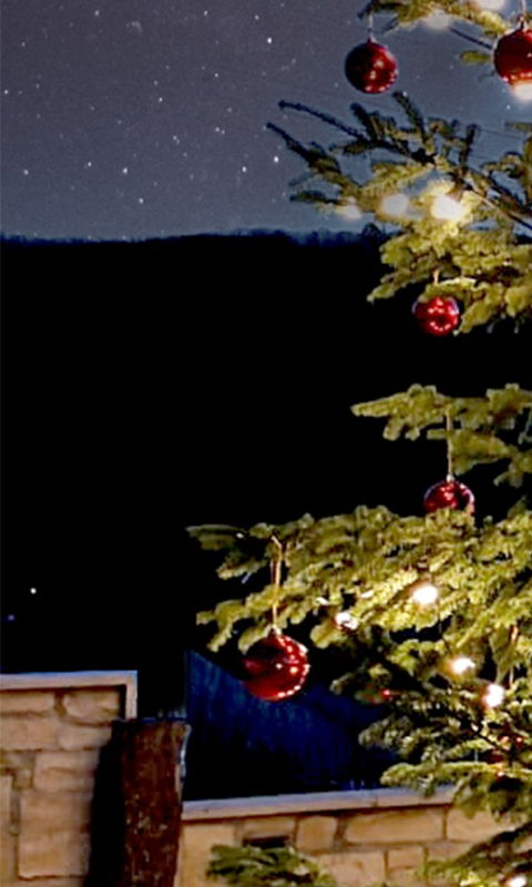 Weihnachtsbestellung