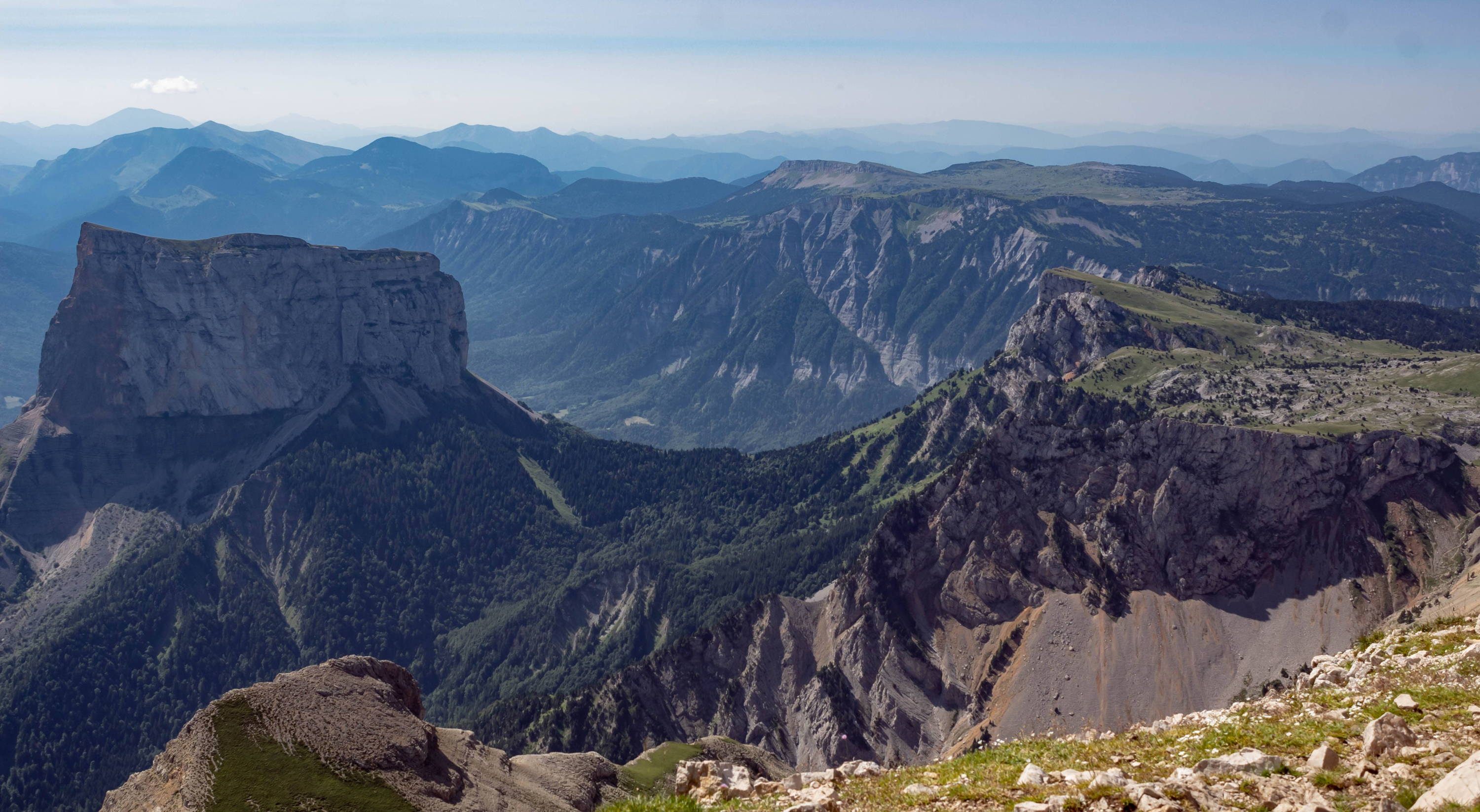 bouquetins-montagne-randonnée-de-la-grande-moucherolle