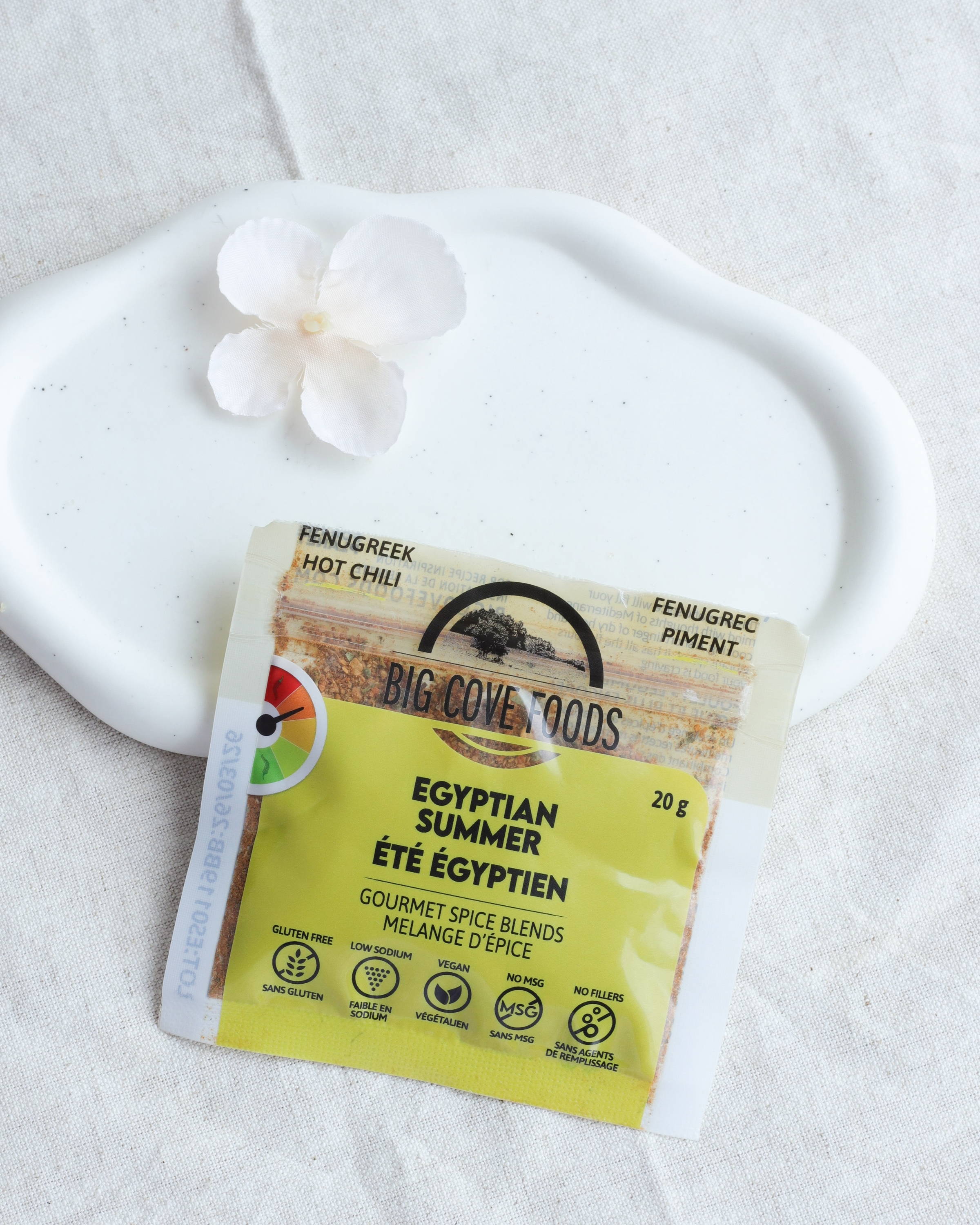 Egyptian summer épices