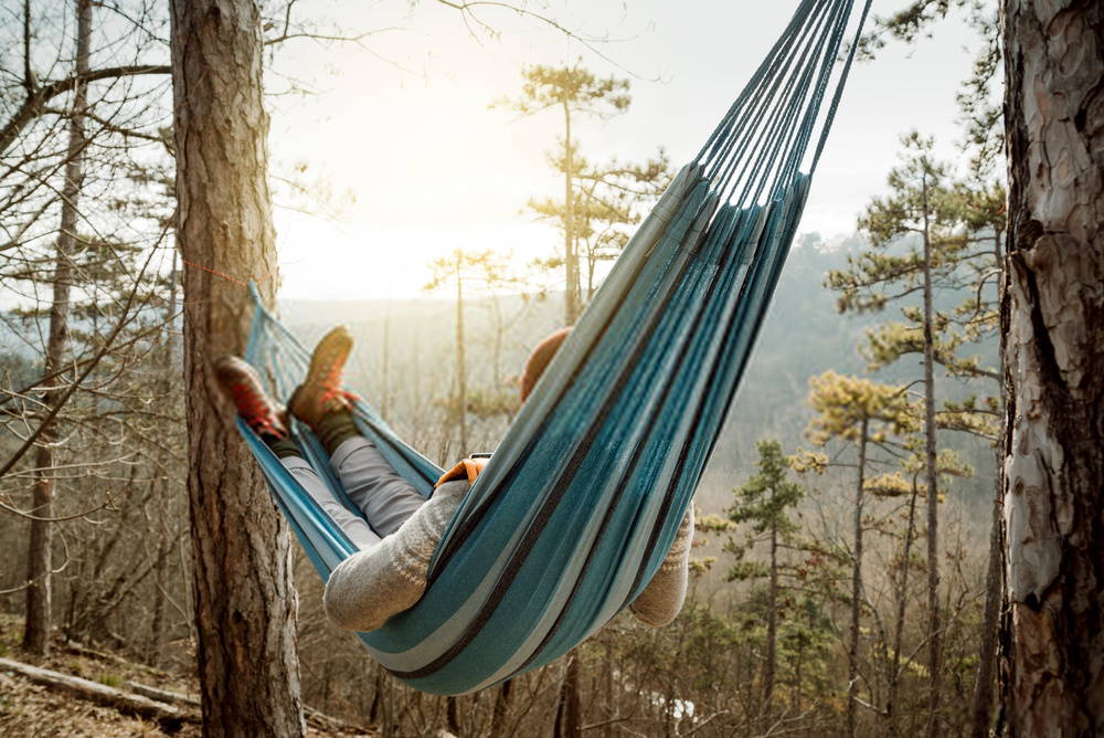 Person lying in hammock looking out at the forest