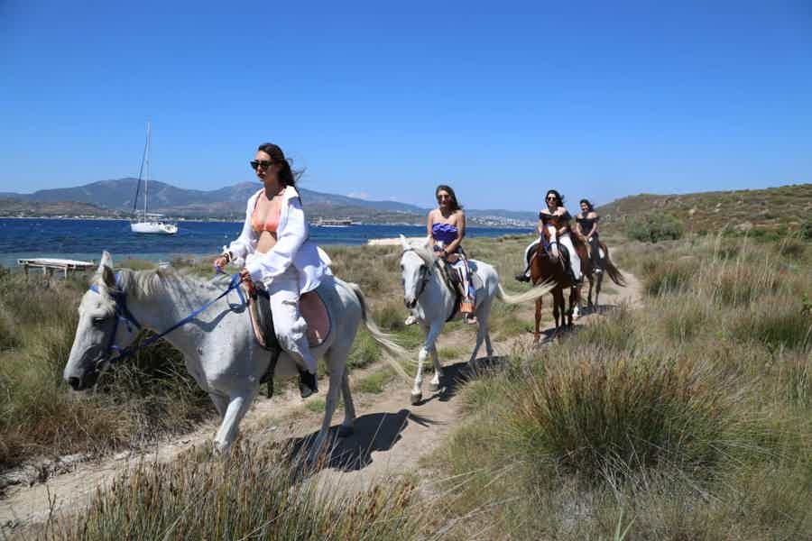 Bodrum: Horse Riding Experience with Forest or Seaside Route - photo 1