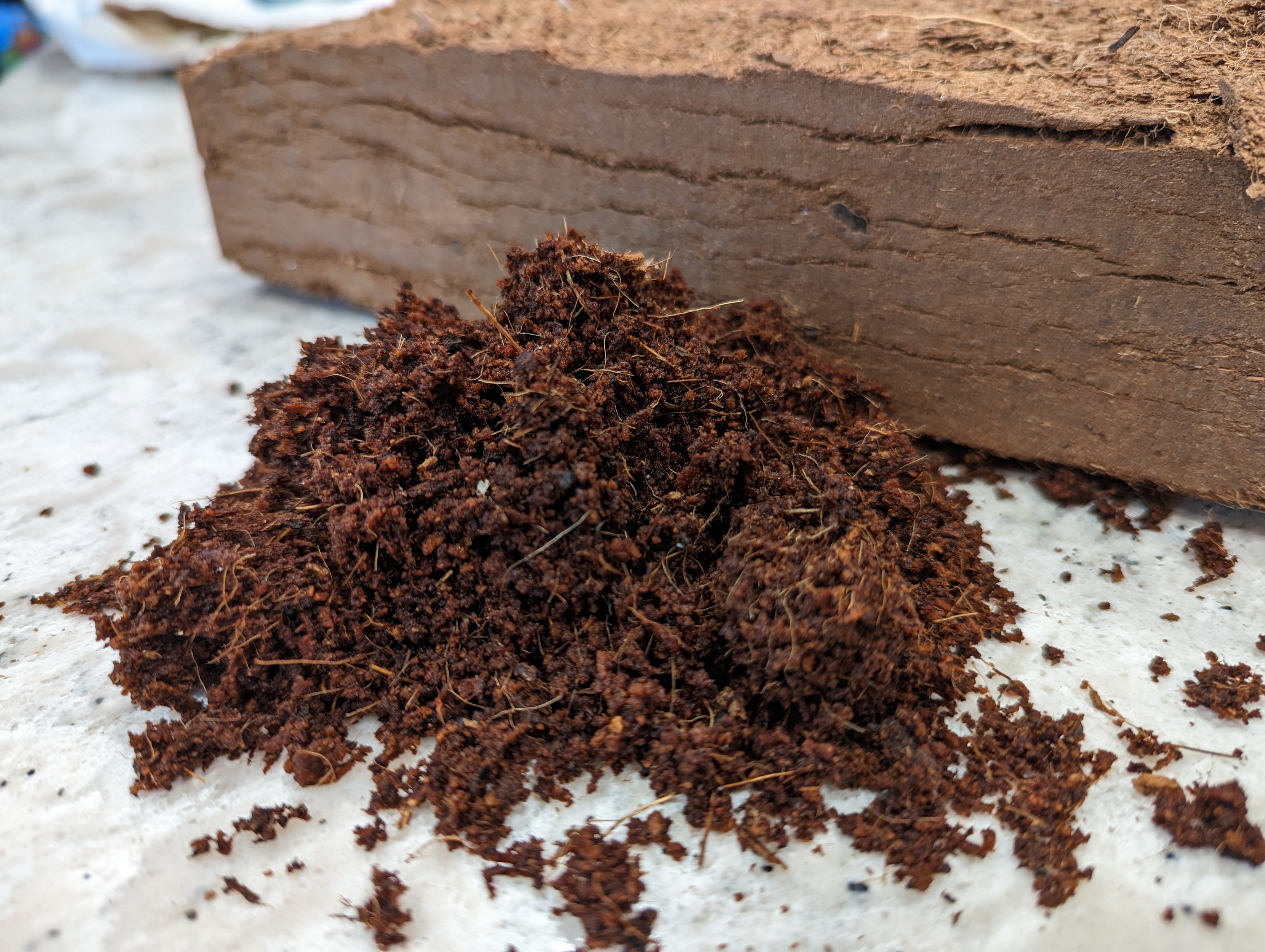 Coconut coir next to a compressed block of coconut coir.