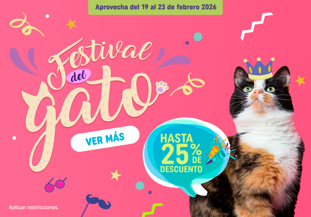 zignature - energía real para su día a día