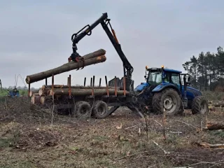 Prace związane z wycinką drzew w km 3+480