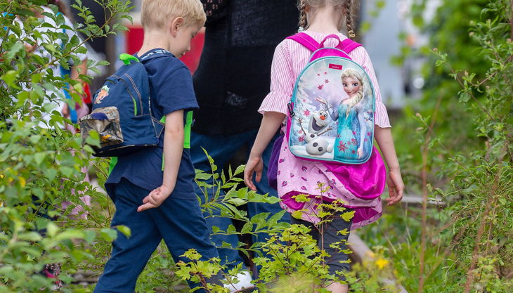 grune hutte sommer jpg q subsampling upscale