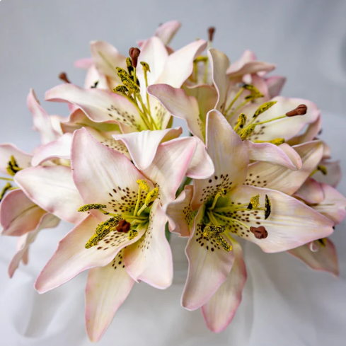 Light Pink Asiatic Lily Flowerhead - Realistic Artificial Flowers