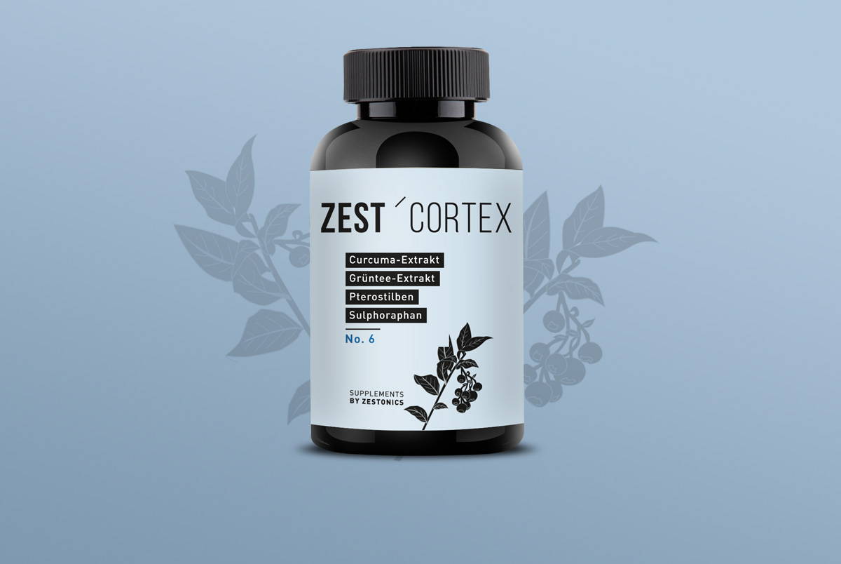 zestonics zest'cortex