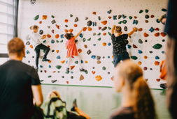 blockhelden erlangen kindercup und sektoren